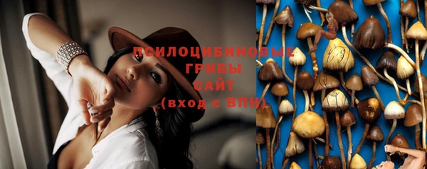 мдма Новодвинск