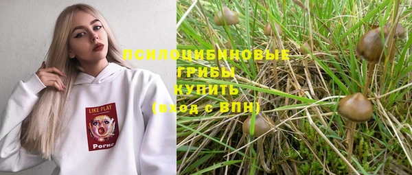 мдма Новодвинск