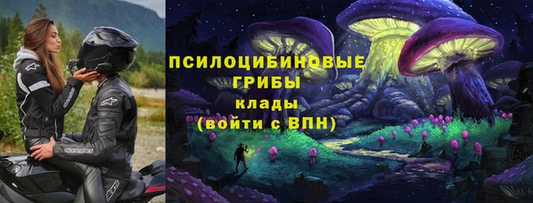 мдма Новодвинск
