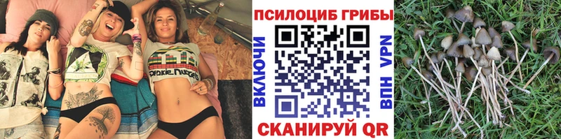 Галлюциногенные грибы ЛСД Купить закладки Кимовск